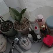 사정관리 Asmr