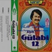 Aşık Gülabi Sefil Baykuş