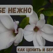 Нежно К Себе Слушать