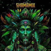Vegas Brazil Gottinari Shamamix Original Mix
