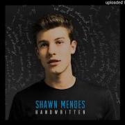 Shawn Mendes Don T Want Your Love
