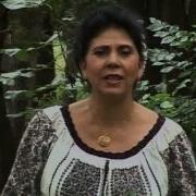 Elena Tofan Frunzulita O Viorea