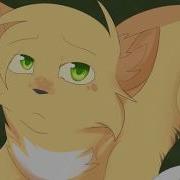 Warriors Cat Rather Be