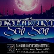 L Algerino Seni Seni