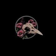 Hip Hop Boom Bap Beat