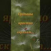 А Молодость Прошла Давно