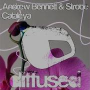 Cataleya Original Mix
