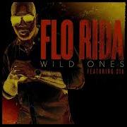 Kaaze Id Vs Flo Rida Ft Sia Wild Ones Acapella