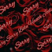 Sorry Sorry Bolu Hath Jodi Re Dj Hard Dholki Mix Song