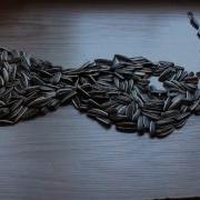 Stop Motion Podifilm