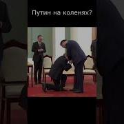 Цена Вопроса 06 11 2024