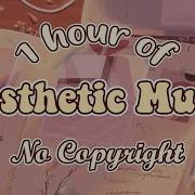 Aestetic Songs For Video