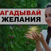 Загадывай Желание И Ставь