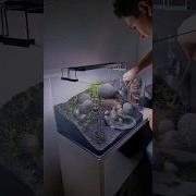 Aquascape