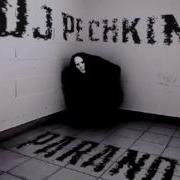 Dj Pechkin Paranoia
