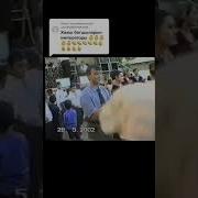 Nury 2002 Yalan Dünye