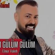 Niyam Salami Gulum Gulum 2022 By Elnur Valeh