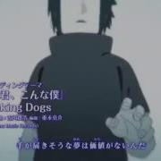 Song For Rookiez Is Punk D Rus