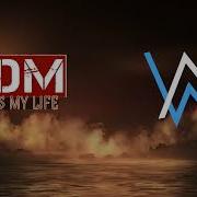 Alan Walker Illusion