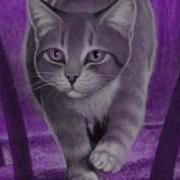 Warriors Cats Tribute