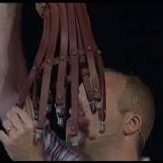 Flagellum Whip