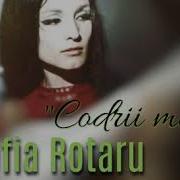 Codrii Mei Batrani Sofia Rotaru