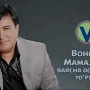 Boxodir Mamajonov2023