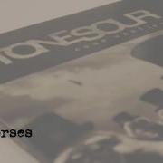 Stone Sour Wild Horses