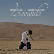 Javid Yeni Sarkisi