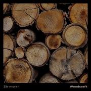 Woodcraft Ziv Moran