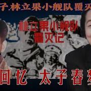 林立果小舰队覆灭记16