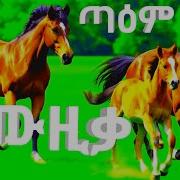 Ethiopian Nature Music