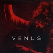 Venus Perfect Lover