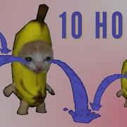 Banana Cat 10 Hours