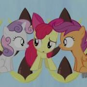 Babs Seed Mlp