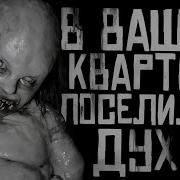 Кот Бегемот