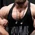 Push Workout Shoulders Chest And Triceps Seth Feroce
