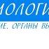 8 класс Биология Выделение Органы выделения