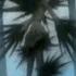 D Gray Man Opening 12