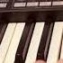 O X Y G E N Baxchov Ari Korg Pa3x