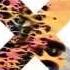 The XX Hot Like Fire