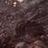 Daemon Foetal Harvest 2015 Beasts Of Tribulation Full Album Brutal Death Metal