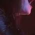 Nightwish The Greatest Show On Earth