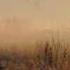 Monday Ludovico Einaudi