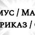 Мандамус Mandamus Судебный приказ Court Order в новую эру12лет82дня 12 03 202517 17 17МСК 30 12 1899