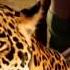 Wonderfull Chill Out Music Love Session On Amazing