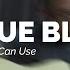 TRUE BLUE Acoustic Ver Blues You Can Use