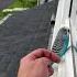Person Is Petting A Little Bird That He Found On His Windowsill
