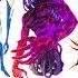 Every Angel From Evangelion