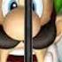 Luigi S Mansion Anti Piracy Screen